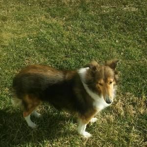 Meet your Posher, Danny